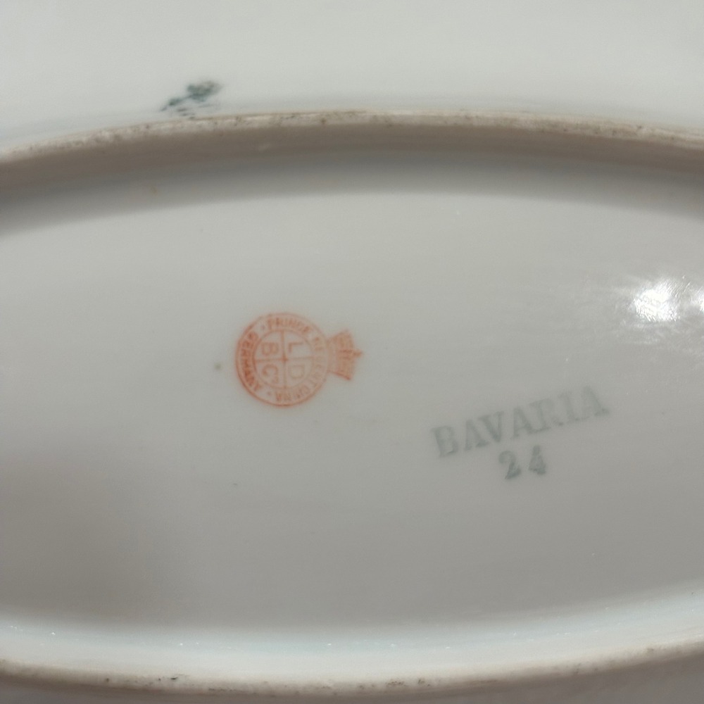Antique Hand Painted Oval Porcelain China Tray Roses Bavaria Relish Dish‎ Blue - Picture 4 of 10